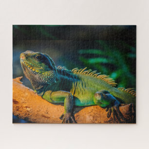 Iguana Wildlife Jigzaag Puzzle Legpuzzel