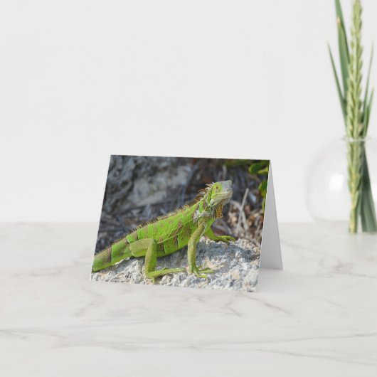 Iguana zegt dat ik je groet mis kaart (Voorkant)