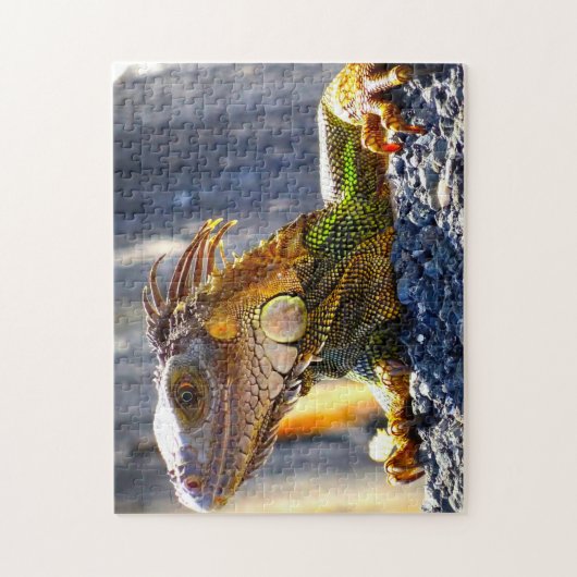 Iguanas in Florida Legpuzzel (Verticaal)