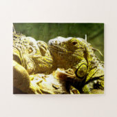 Iguanas Legpuzzel (Horizontaal)