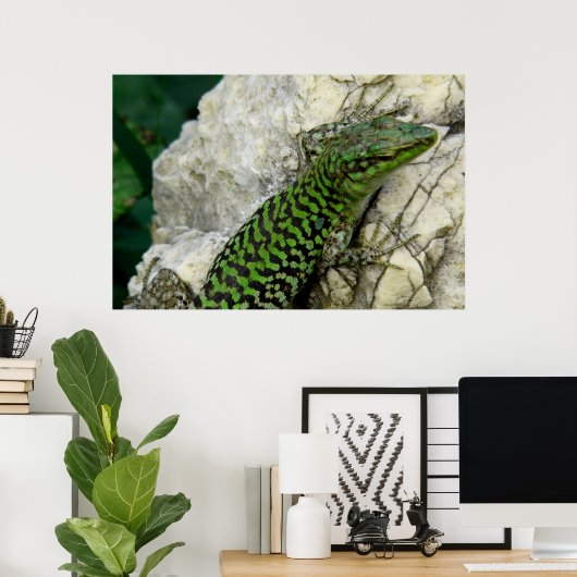 iguanas poster (Thuiskantoor)