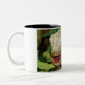 Iguanas Tweekleurige Koffiemok (Links)