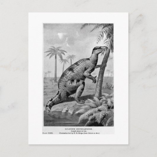 Iguanodon bernissartensis art briefkaart (Voorkant)