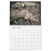 Iguazu_Calender Kalender (Feb 2027)