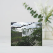 Iguazu Falls Argentina Briefkaart (Staand voorkant)