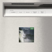 Iguazu Herfsten Cataratas de Iguazu Magnet (Insitu (Vaatwasser))