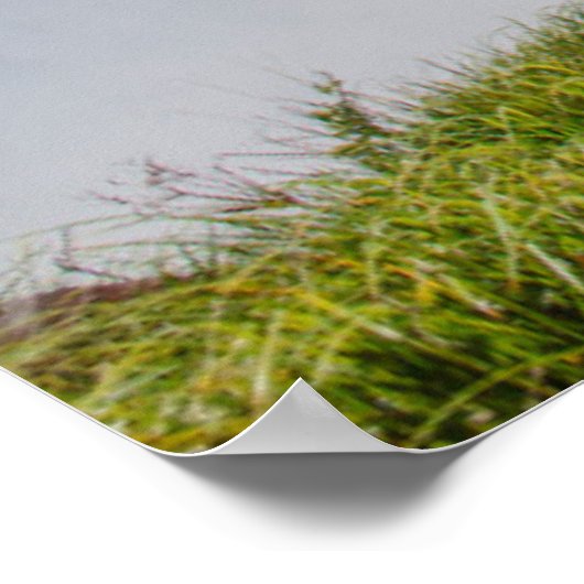 Iguazu-Herfsten, Devil's Throat, Argentinië Poster (Hoek)