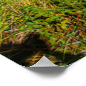 Iguazu Herfsten National Park, Argentinië Poster (Hoek)