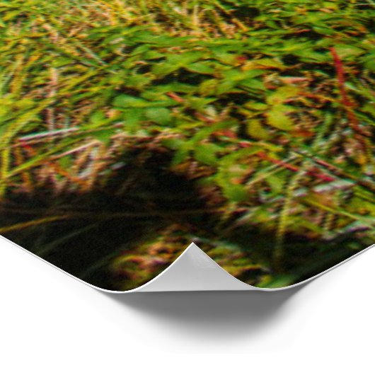 Iguazu Herfsten National Park, Argentinië Poster (Hoek)