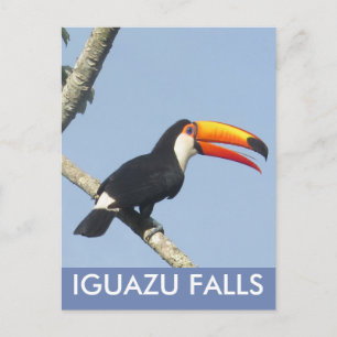 Iguazu Herfsten Toco Toucan Briefkaart
