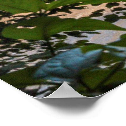 Iguazú Waterfall with Rainbow, Argentina Poster (Hoek)