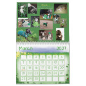 IGWhispers' 2012 Italiaanse Greyhound Calendar Kalender (Mar 2027)