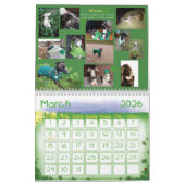 IGWhispers' 2012 Italiaanse Greyhound Calendar Kalender (Mar 2026)
