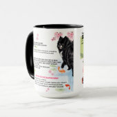 IHANA'S SAKURA SYRUP Chow Art Muse Recipe  Mok (Voorkant links)