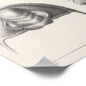 II Primordiale periode Poster (Hoek)