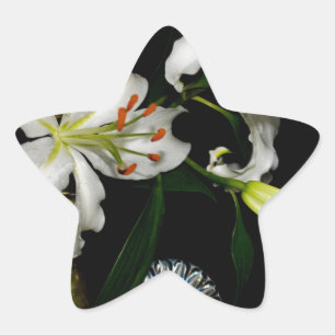 Iirsh Design -Koper en Bloemencollectie Ster Sticker