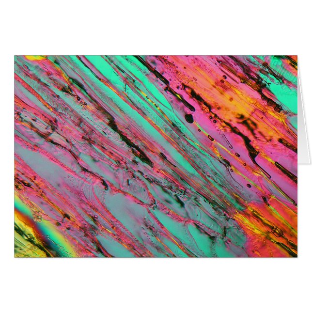 IJ onder de microscoop (Voorkant Horizontaal)