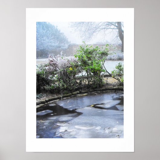Ijs en mist poster (Voorkant)