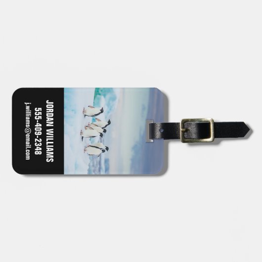 IJs en sneeuw | Adelie Penguins Antarctica Bagagelabel (Voorkant horizontaal)