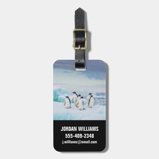 IJs en sneeuw | Adelie Penguins Antarctica Bagagelabel (Voorkant verticaal)