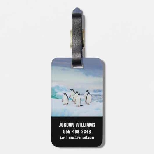 IJs en sneeuw | Adelie Penguins Antarctica Bagagelabel (Achterkant verticaal)