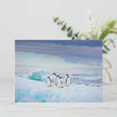 IJs en sneeuw | Adelie Penguins Antarctica Bedankkaart (Staand voorkant)
