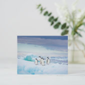 IJs en sneeuw | Adelie Penguins Antarctica Briefkaart (Staand voorkant)