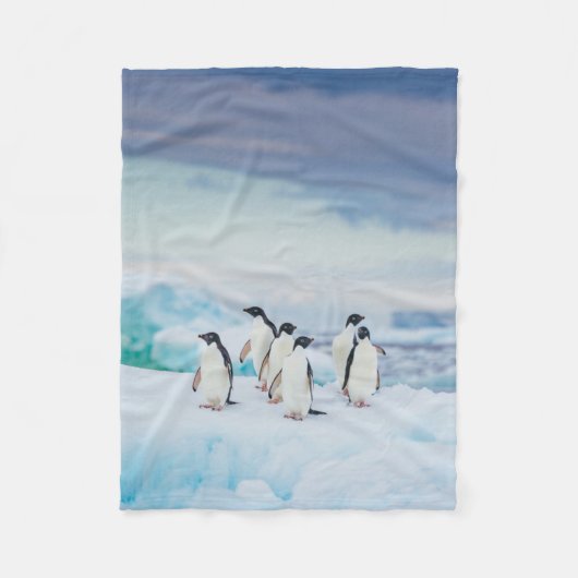 IJs en sneeuw | Adelie Penguins Antarctica Fleece Deken (Voorkant)