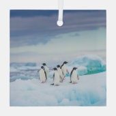 IJs en sneeuw | Adelie Penguins Antarctica Glas Ornament (Achterkant)