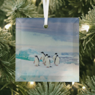 IJs en sneeuw Adelie Penguins Antarctica Glas Ornament
