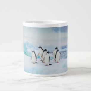 IJs en sneeuw   Adelie Penguins Antarctica Grote Koffiekop