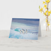 IJs en sneeuw | Adelie Penguins Antarctica Kaart (Gele Bloem)
