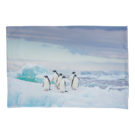 IJs en sneeuw | Adelie Penguins Antarctica Kussensloop (Voorkant)
