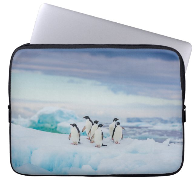 IJs en sneeuw | Adelie Penguins Antarctica Laptop Sleeve (Voorkant)