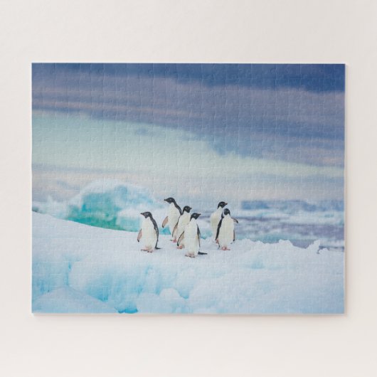 IJs en sneeuw | Adelie Penguins Antarctica Legpuzzel (Horizontaal)