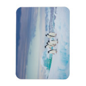 IJs en sneeuw | Adelie Penguins Antarctica Magneet (Verticaal)