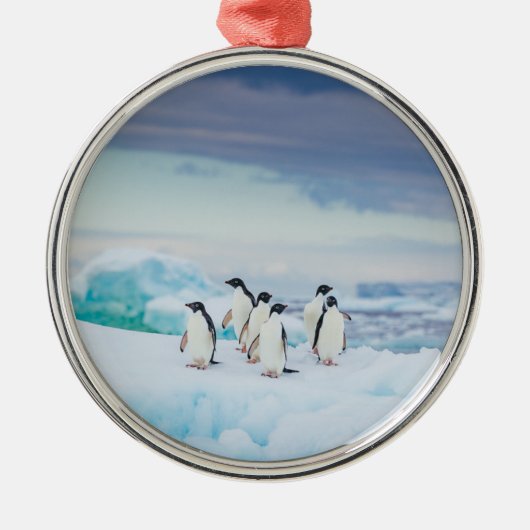 IJs en sneeuw | Adelie Penguins Antarctica Metalen Ornament (Voorkant)