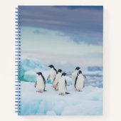 IJs en sneeuw | Adelie Penguins Antarctica Notitieboek (Voorkant)