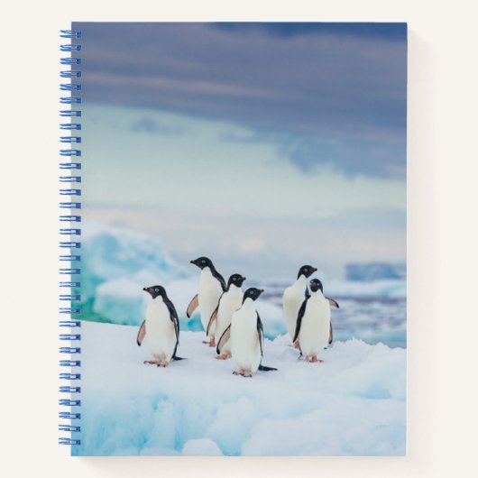IJs en sneeuw | Adelie Penguins Antarctica Notitieboek (Voorkant)