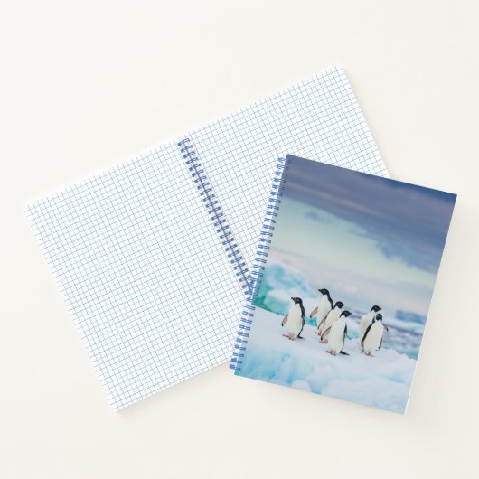 IJs en sneeuw | Adelie Penguins Antarctica Notitieboek (Binnen)