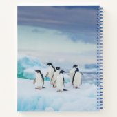 IJs en sneeuw | Adelie Penguins Antarctica Notitieboek (Achterkant)