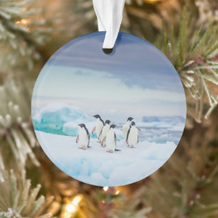 IJs en sneeuw Adelie Penguins Antarctica Ornament