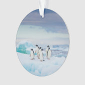 IJs en sneeuw | Adelie Penguins Antarctica Ornament (voorkant)