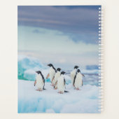 IJs en sneeuw | Adelie Penguins Antarctica Planner (Achterkant)