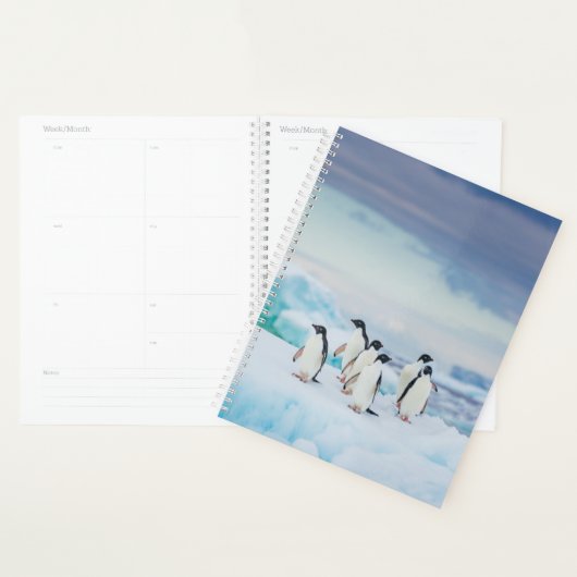 IJs en sneeuw | Adelie Penguins Antarctica Planner (Display)