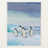 IJs en sneeuw | Adelie Penguins Antarctica Planner (Voorkant)