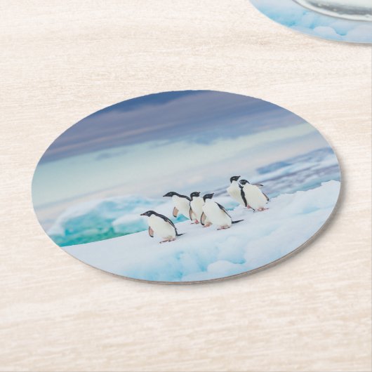 IJs en sneeuw | Adelie Penguins Antarctica Ronde Kartonnen Onderzetter (Gebogen)