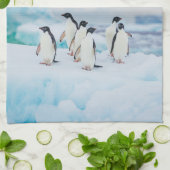 IJs en sneeuw | Adelie Penguins Antarctica Theedoek (Gevouwen)