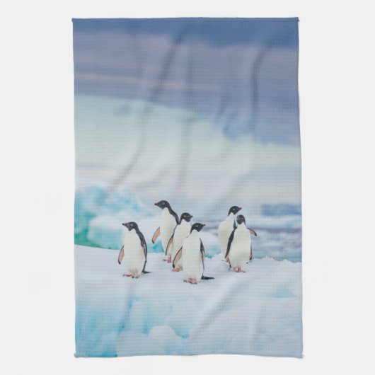 IJs en sneeuw | Adelie Penguins Antarctica Theedoek (Verticaal)