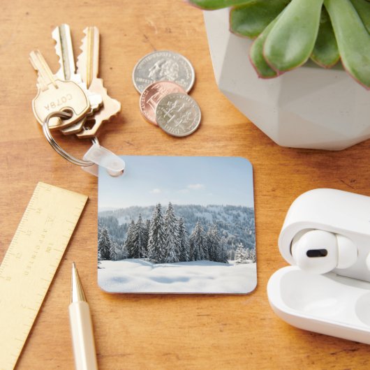 IJs en sneeuw | Allgäu Bavaria Duitsland Sleutelhanger (Bureau)